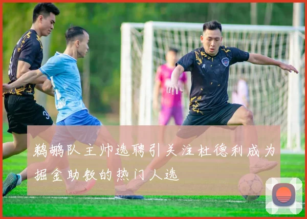 鹈鹕队主帅选聘引关注杜德利成为掘金助教的热门人选