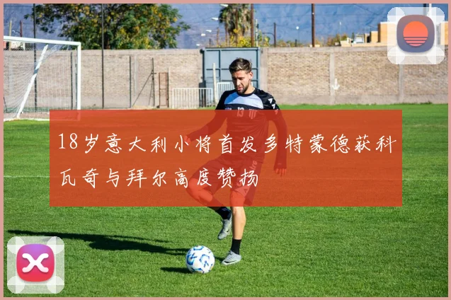 18岁意大利小将首发多特蒙德获科瓦奇与拜尔高度赞扬